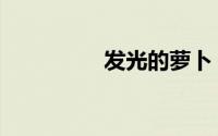发光的萝卜（发光猪肉）