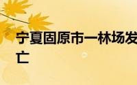 宁夏固原市一林场发生火情致6人受伤2人死亡
