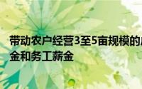带动农户经营3至5亩规模的户办产业园帮助农户获得土地租金和务工薪金