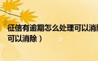 征信有逾期怎么处理可以消除多少钱（征信有逾期怎么处理可以消除）