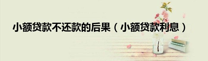 小额贷款不还款的后果（小额贷款利息）