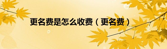 更名费是怎么收费（更名费）