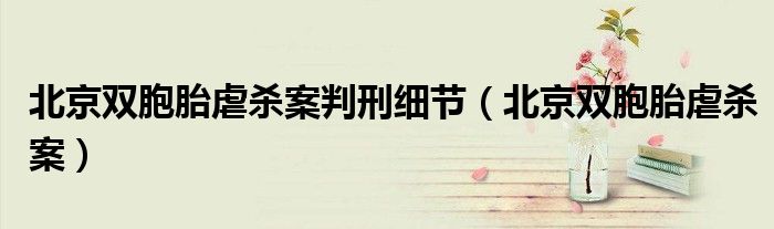 北京双胞胎虐杀案判刑细节（北京双胞胎虐杀案）