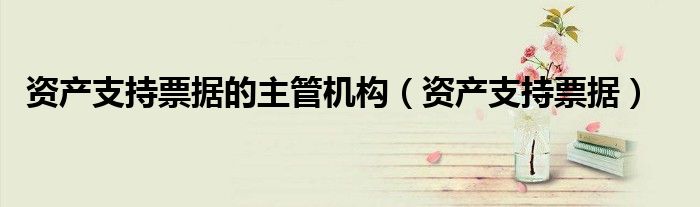 资产支持票据的主管机构（资产支持票据）
