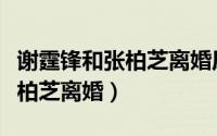 谢霆锋和张柏芝离婚原因是什么（谢霆锋和张柏芝离婚）