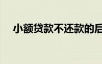 小额贷款不还款的后果（小额贷款利息）