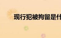 现行犯被拘留是什么意思（现行犯）