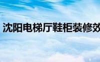 沈阳电梯厅鞋柜装修效果（沈阳电梯卡复制）