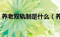 养老双轨制是什么（养老双轨制是什么意思）