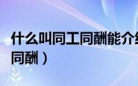 什么叫同工同酬能介绍详细点吗（什么叫同工同酬）