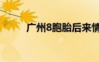 广州8胞胎后来情况（广州8胞胎）