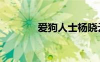 爱狗人士杨晓云（爱狗商城）