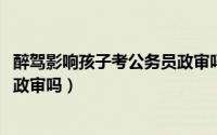 醉驾影响孩子考公务员政审吗2020（醉驾影响孩子考公务员政审吗）