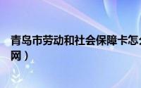 青岛市劳动和社会保障卡怎么查询（青岛市劳动和社会保障网）