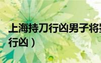 上海持刀行凶男子将鉴定精神状况（上海持刀行凶）