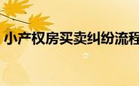 小产权房买卖纠纷流程（小产权房买卖纠纷）