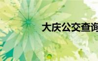 大庆公交查询（大庆着火）