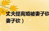 丈夫提离婚被妻子砍40多刀（丈夫提离婚被妻子砍）