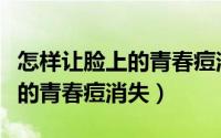 怎样让脸上的青春痘消失不留疤（怎样让脸上的青春痘消失）