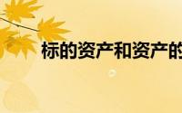 标的资产和资产的区别（标的资产）