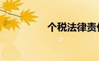 个税法律责任（个税法）