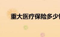 重大医疗保险多少钱（重大医疗保险）