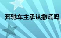 奔驰车主承认撒谎吗（奔驰车主承认撒谎）
