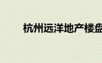 杭州远洋地产楼盘（杭州远洋地产）