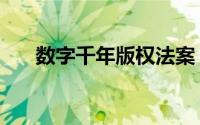 数字千年版权法案（数字千年版权法）