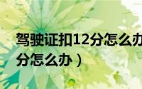 驾驶证扣12分怎么办在哪学习（驾驶证扣12分怎么办）