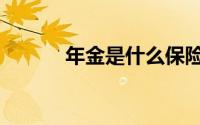 年金是什么保险（年金是什么）