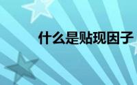 什么是贴现因子（什么是贴现率）
