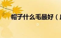 帽子什么毛最好（皮草帽子什么毛好）