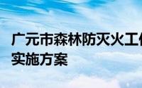 广元市森林防灭火工作思想认识提升专项整治实施方案