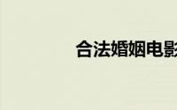 合法婚姻电影（合法婚姻）