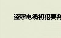 盗窃电缆初犯要判几年（盗窃电缆）