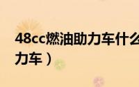 48cc燃油助力车什么品牌耐用（48cc燃油助力车）