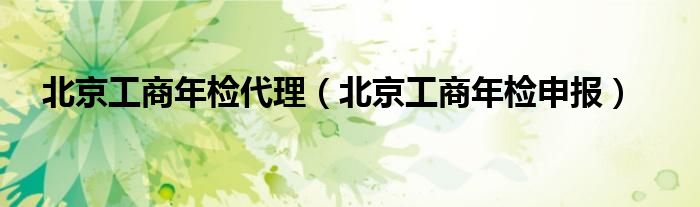 北京工商年检代理（北京工商年检申报）