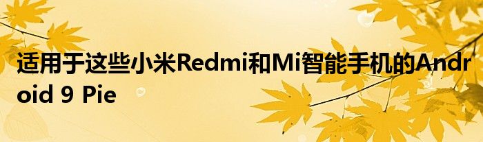 适用于这些小米Redmi和Mi智能手机的Android 9 Pie