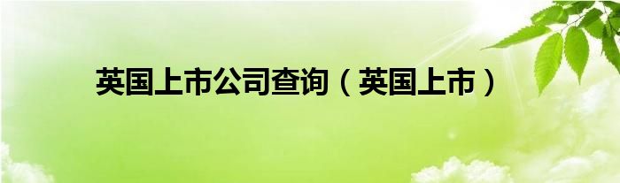 英国上市公司查询（英国上市）