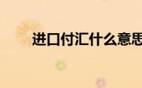 进口付汇什么意思（进口付款方式）