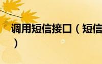 调用短信接口（短信接口-实现短信发送实例）