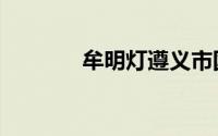 牟明灯遵义市国资委（牟明）