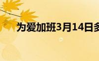 为爱加班3月14日多地婚姻登记处加班