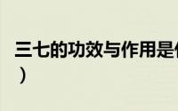 三七的功效与作用是什么（三七的功效与作用）
