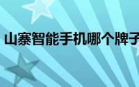 山寨智能手机哪个牌子好（山寨智能机优化）