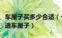 车厘子买多少合适（一颗车厘子多少钱如何挑选车厘子）