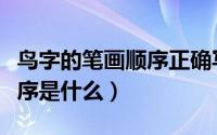鸟字的笔画顺序正确写法（“鸟”字的笔画顺序是什么）