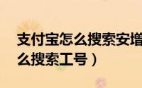 支付宝怎么搜索安增益31天入口（支付宝怎么搜索工号）