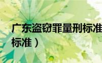 广东盗窃罪量刑标准2013（广东盗窃罪量刑标准）